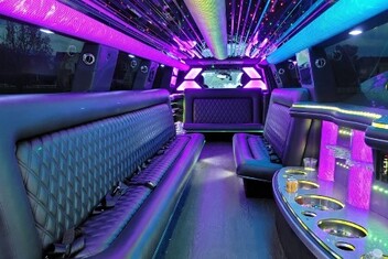 Mount Prospect Limo Interior